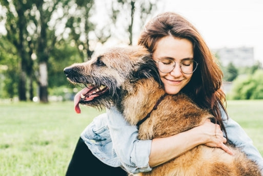 Dog owner hugging happy old dog