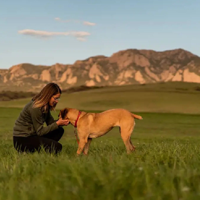 woman crouched down petting dog