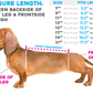 Sizing chart for wiggleless back brace