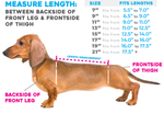 Sizing chart for wiggleless back brace