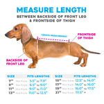 Measurement guide for wiggleless back brace