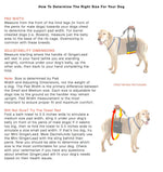 GingerLead Sizing guidelines