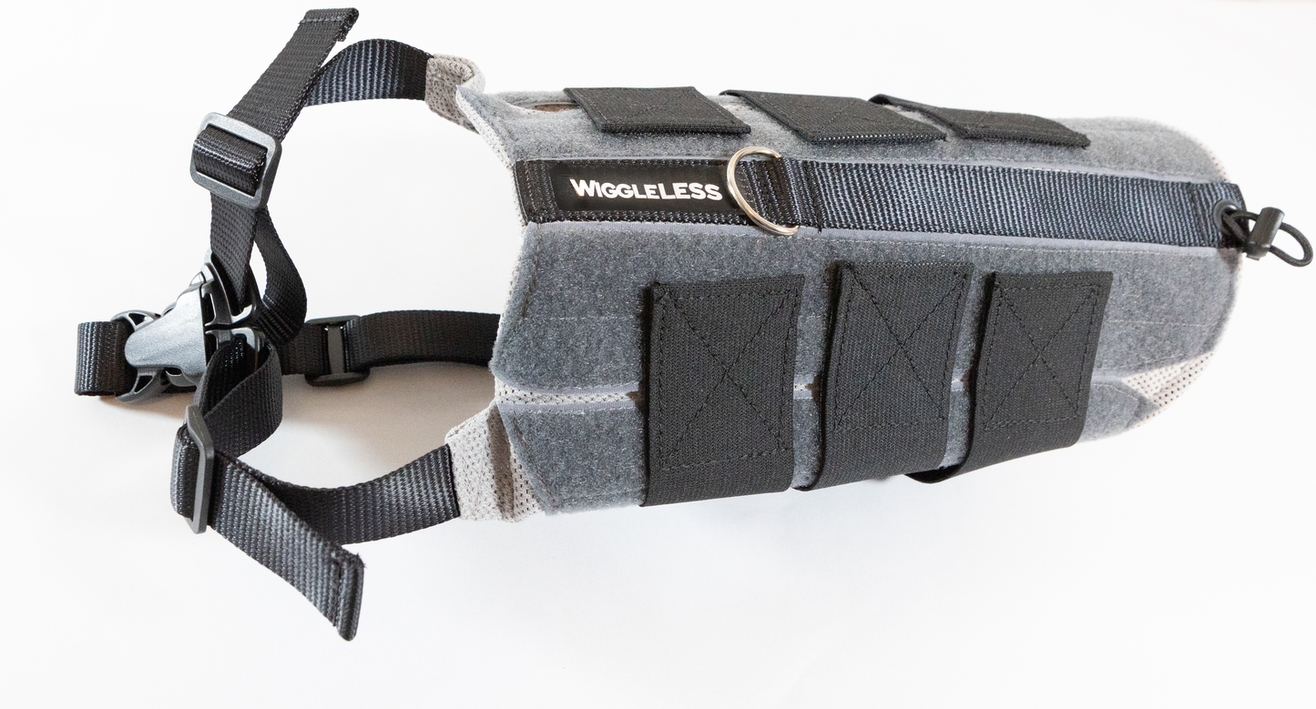 Charcoal WiggleLess Back Brace Product Image