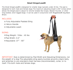 Description for a small gingerlead support