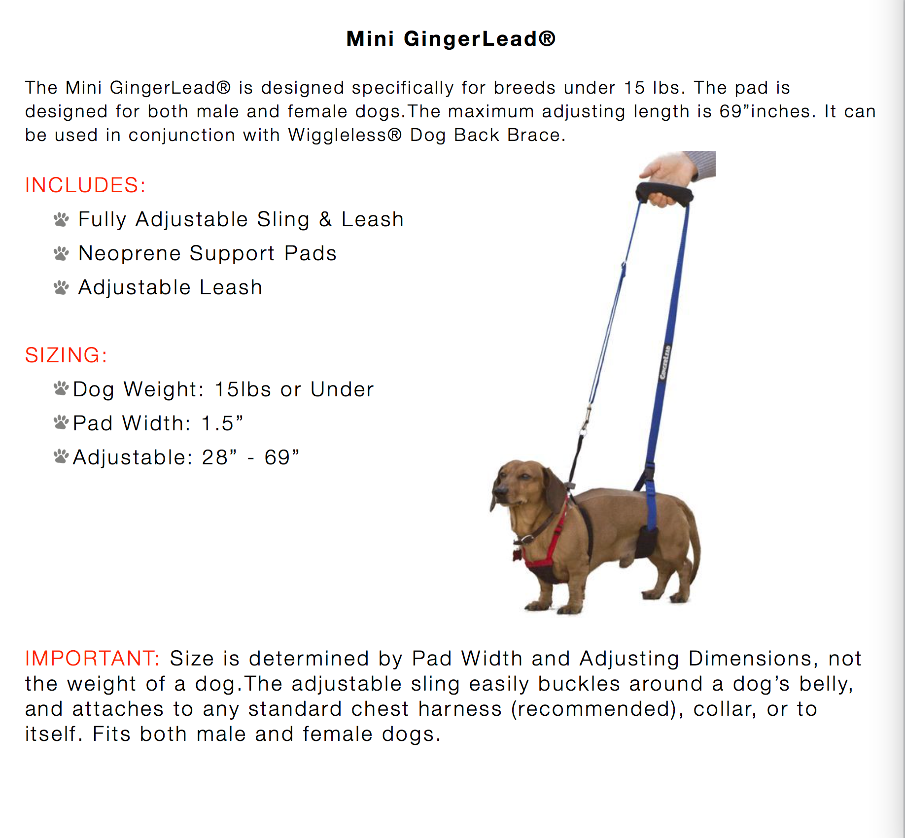 Mini GingerLead description and sizing