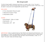 Mini GingerLead description and sizing
