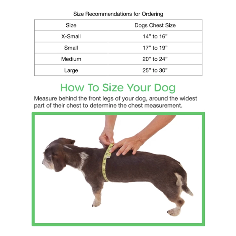 sizing chart for wiggleless wondershirt undershirt