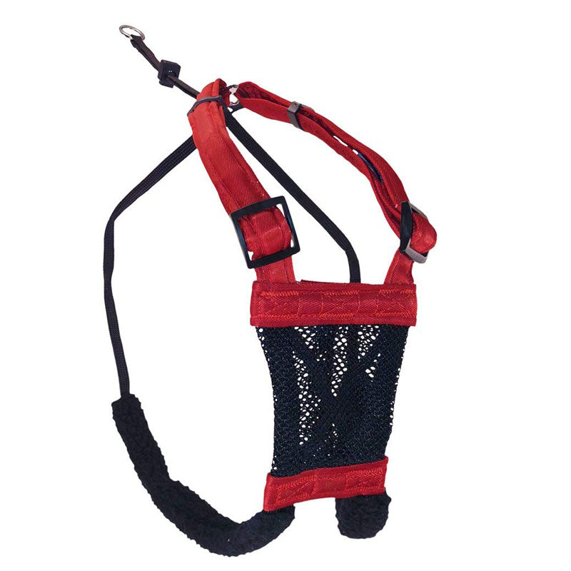 Sporn non shop pull mesh harness