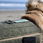 close up of wiggleless logo on the dog back brace