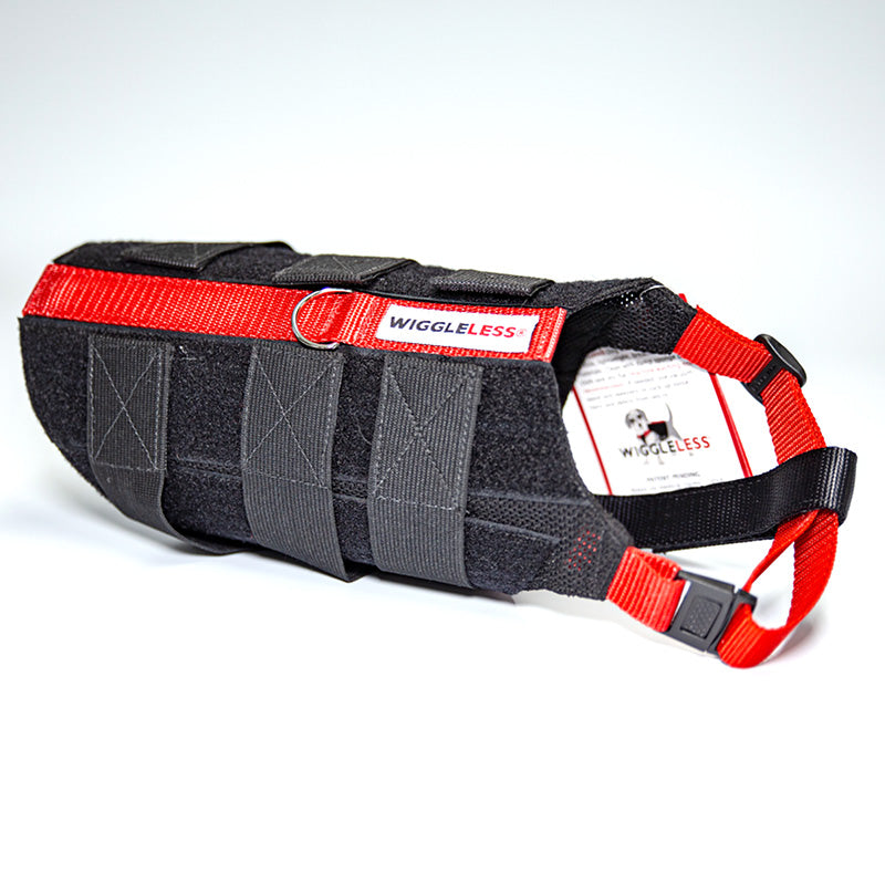 red wiggleless dog back brace