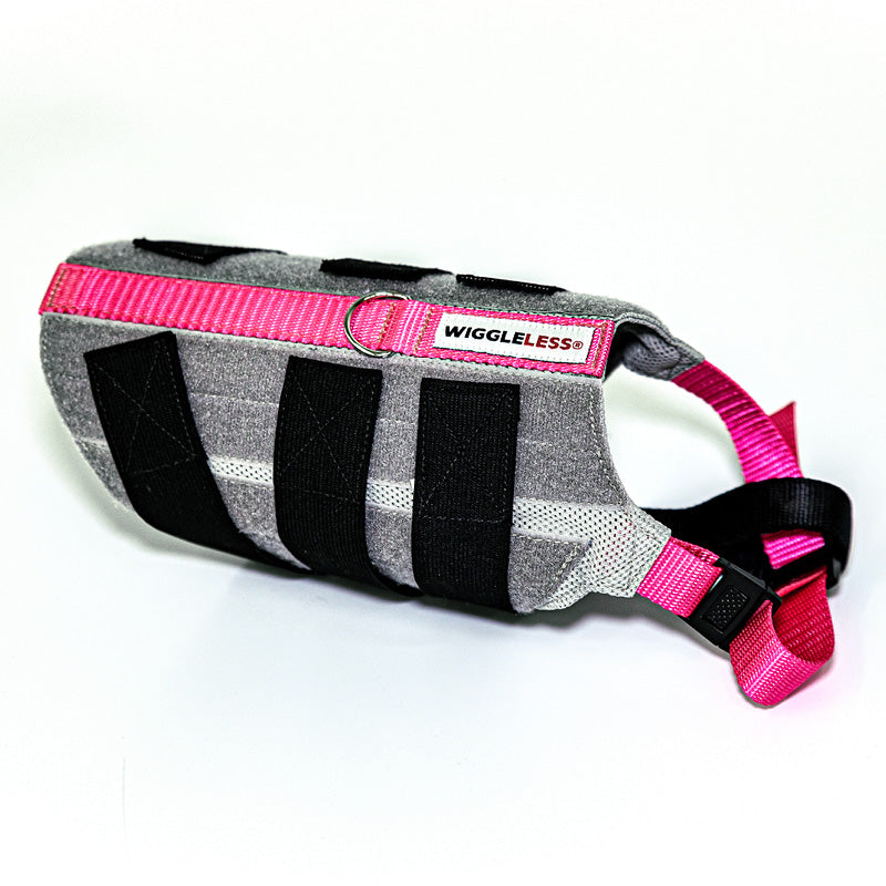 pink wiggleless dog back brace