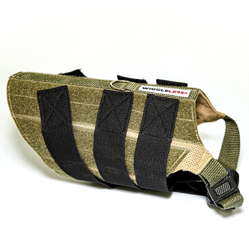 olive WiggleLess dog back brace