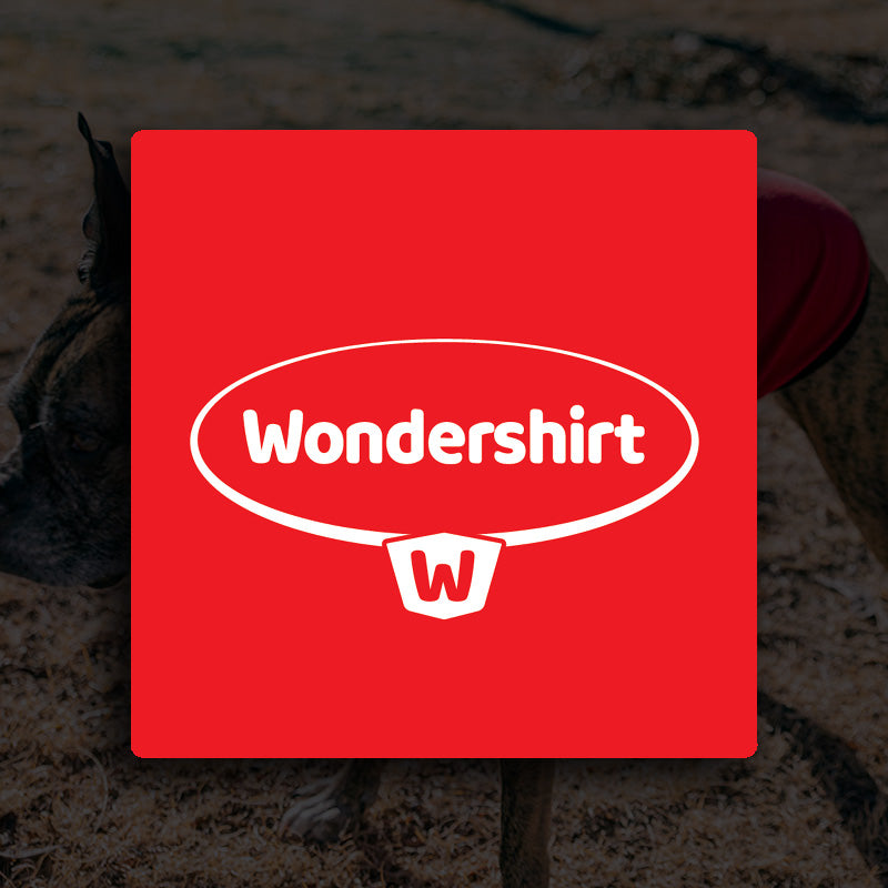 Wondershirt Logo by WiggleLess