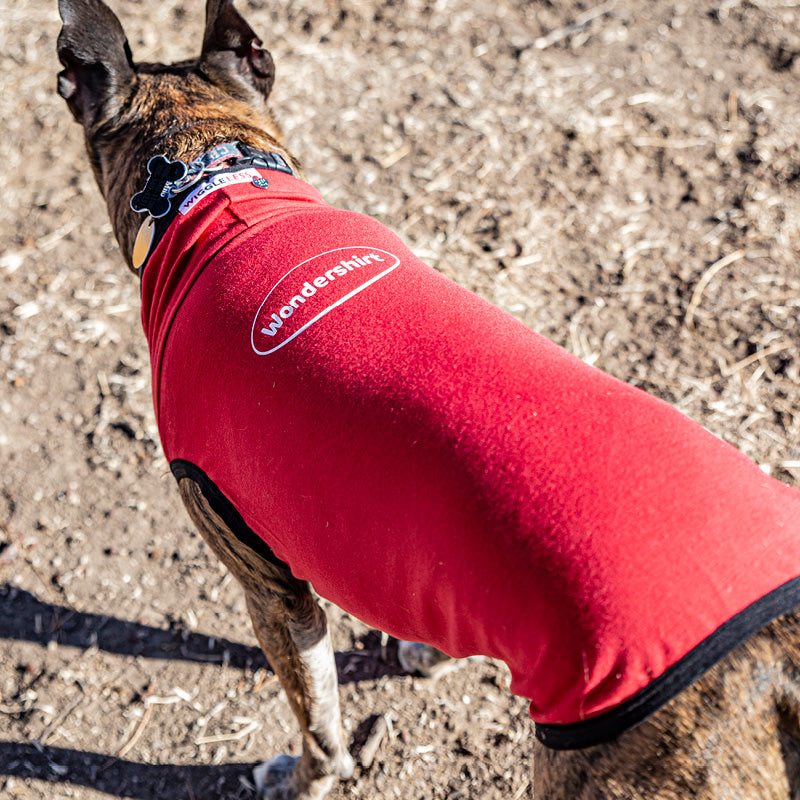 back shot of wondershirt compression shirt