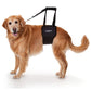 GingerLead® Support Harness