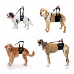 4 quadrants of images of dogs being supported with various sizes of a GingerLead Help em up Harness