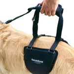 Close up of a GingerLead Harness supporting a dog
