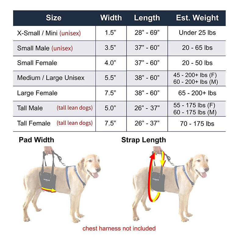 Sizing chart for a gingerlead harness