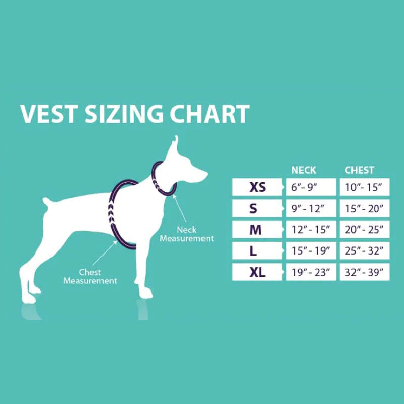 Sizing Chart for Assisi Calmer Canine tPEMF