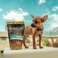 chihuahua puppy standing next to a bag of Charlotte's Web calming chews